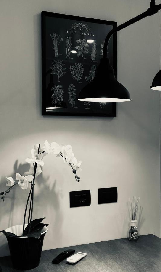 Apartament La Tana Del Ludo Baveno Zewnętrze zdjęcie
